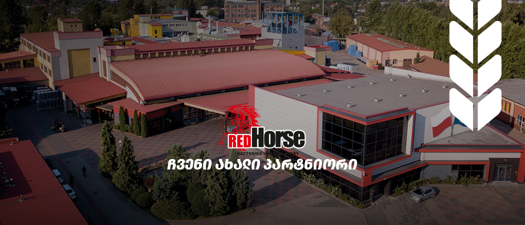 RED HORSE - ჩვენი ახალი პარტნიორი